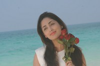 Yami Goutham New Photos